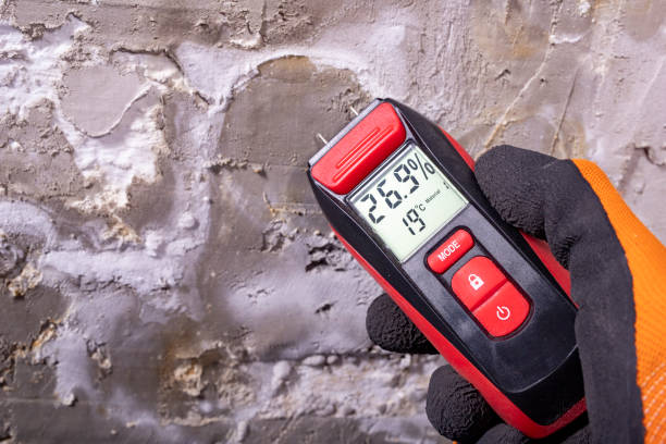 Best Bathroom Mold Remediation in Jamaica Beach, TX